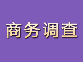 潞城商务调查